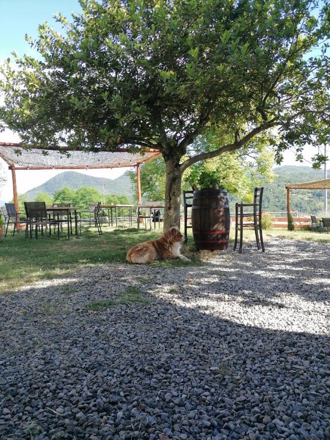 Agriturismo Dei Legi San Pietro Vara Exterior foto