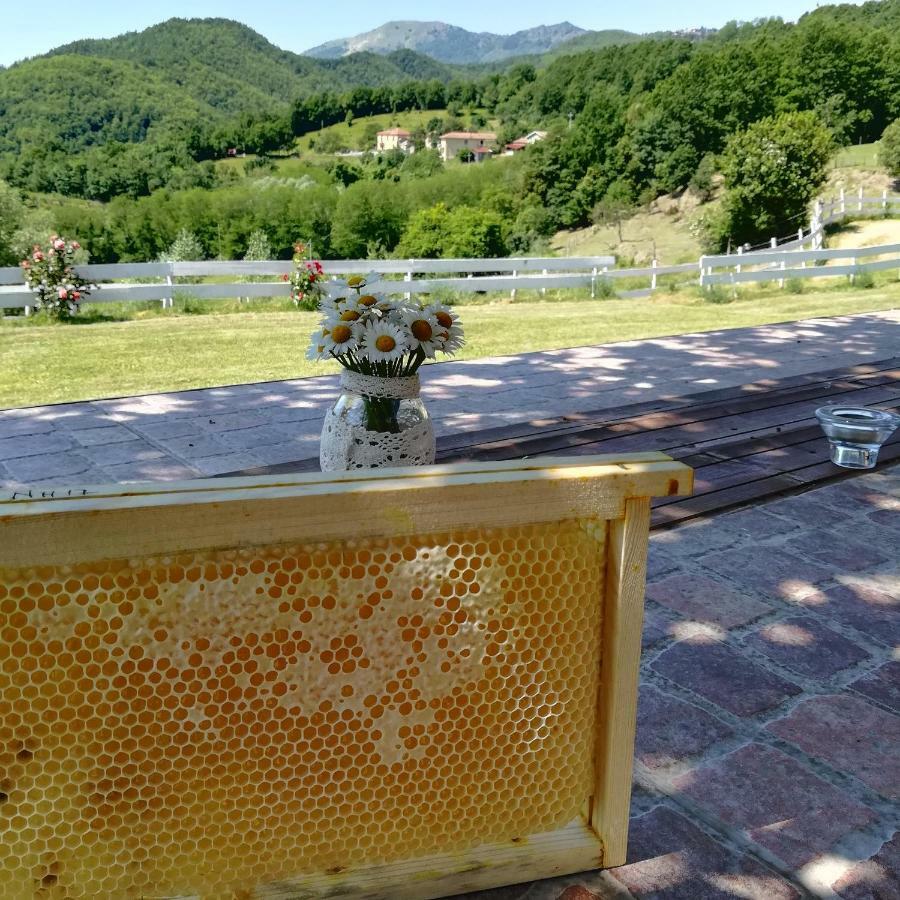 Agriturismo Dei Legi San Pietro Vara Exterior foto