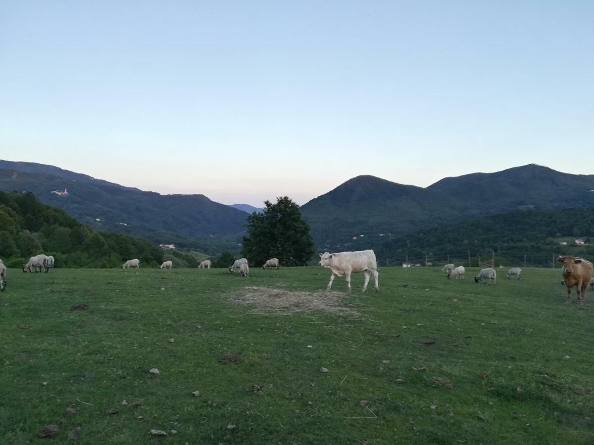 Agriturismo Dei Legi Villa San Pietro Vara Exterior foto