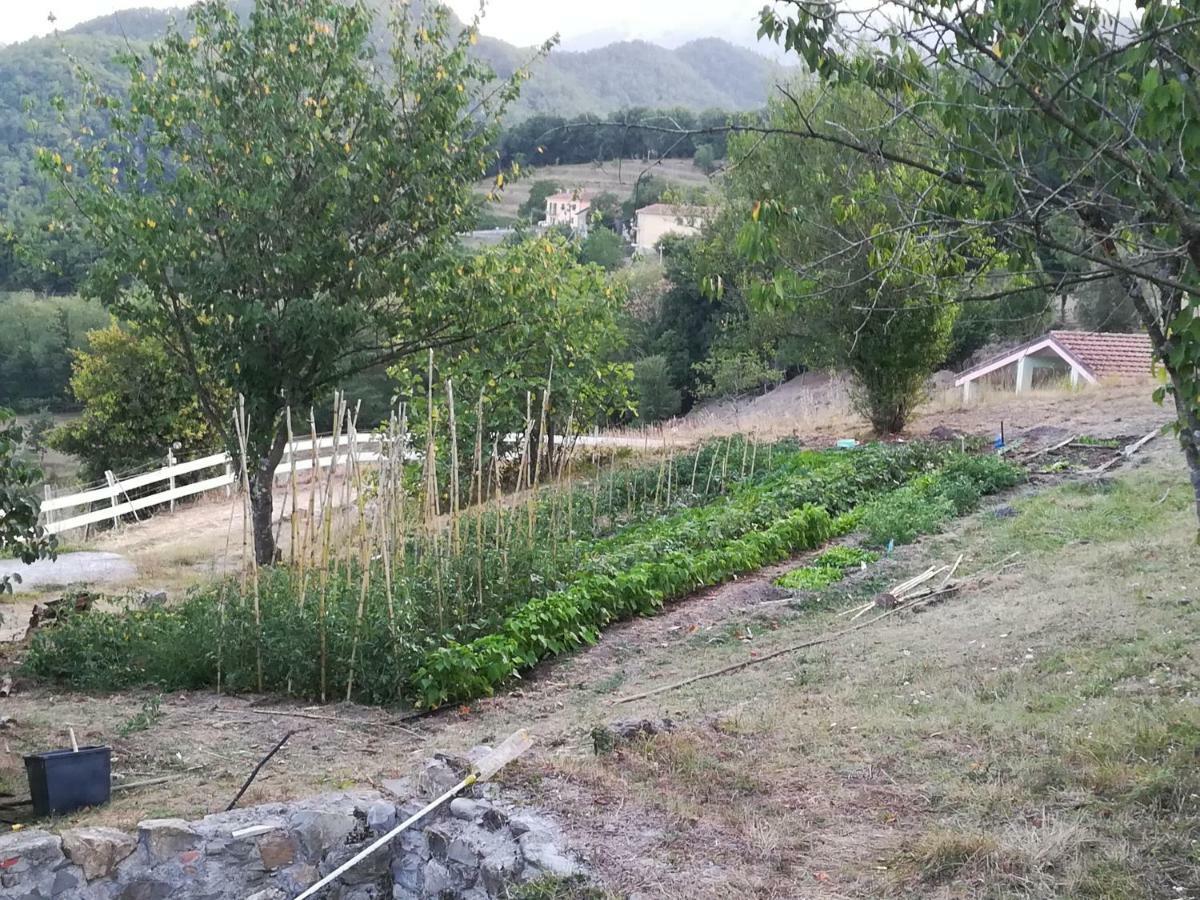 Agriturismo Dei Legi San Pietro Vara Exterior foto